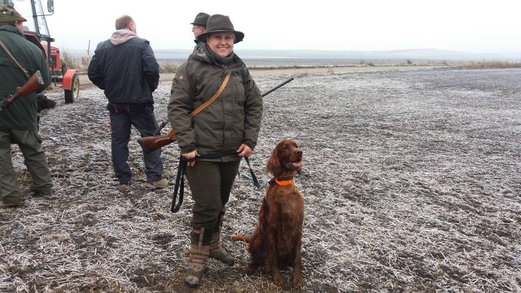 Agar Akimbo DAISY RAIN irish red setter