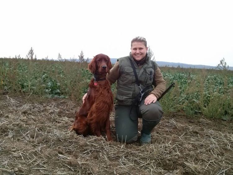 Agar Akimbo DAISY RAIN irish red setter
