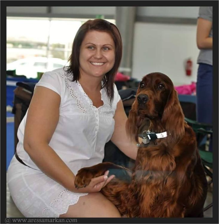 Agar Akimbo DAISY RAIN irish red setter