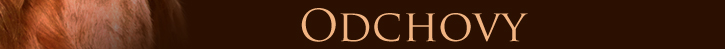 Odchovy