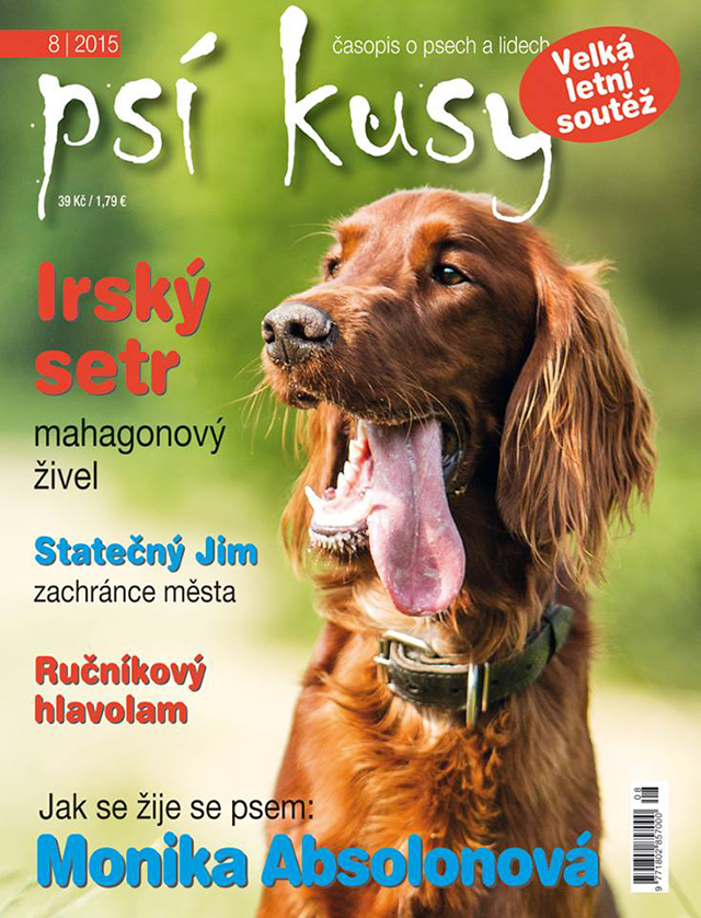 irsk setr