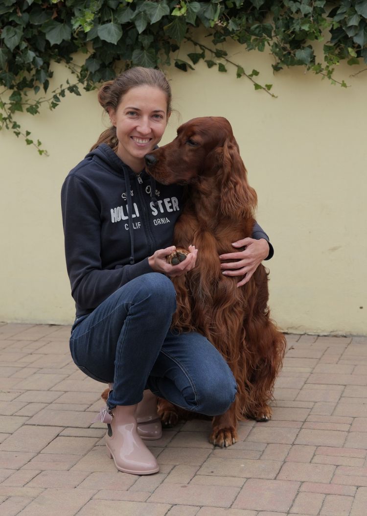 Damien DAISY RAIN Irish Red Setter